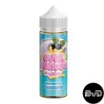 OVER LOADED BLUEBERRY CUSTARD - 120ML